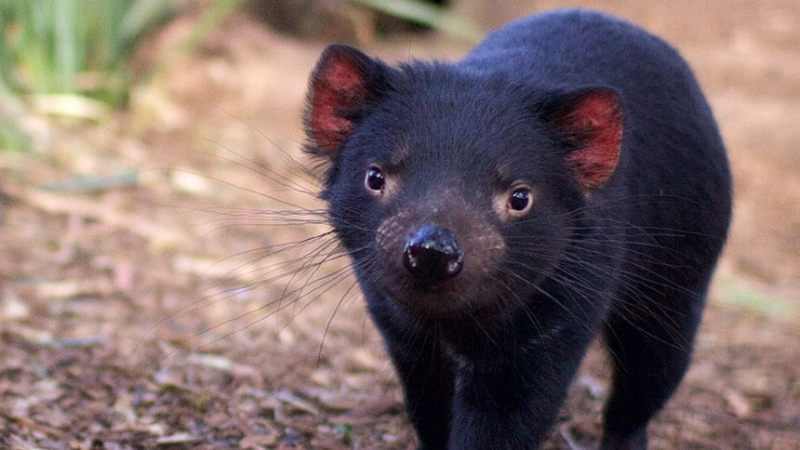 Untitled design (94)